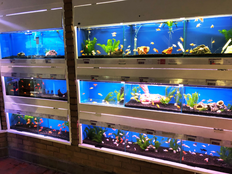 Hollybush Garden Centre and Aquaria Cannock