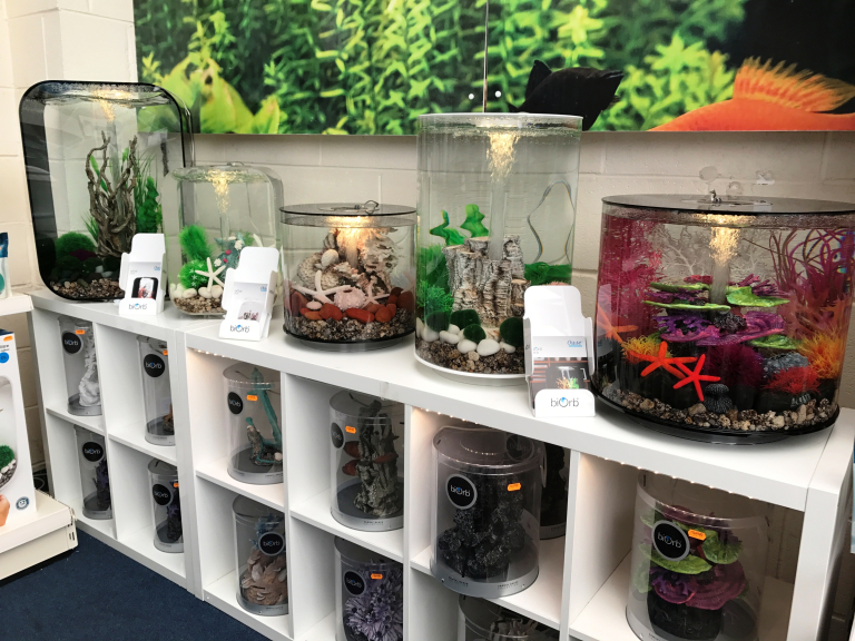 Hollybush Aquatics Cannock