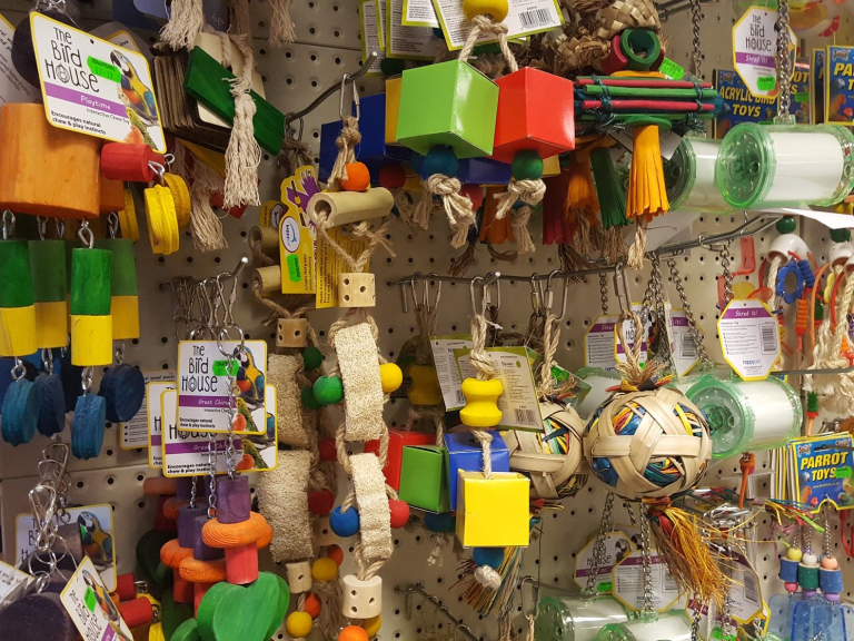 Hollybush Pets and Aquaria Cannock