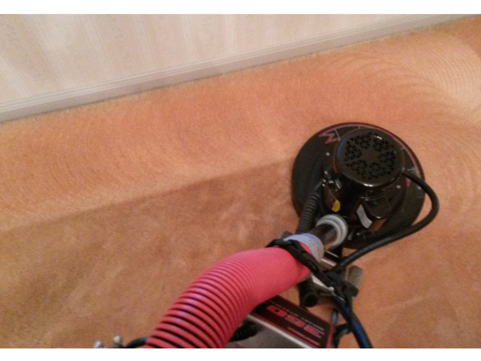 The St Neots Cleaning Company Ltd St Neots