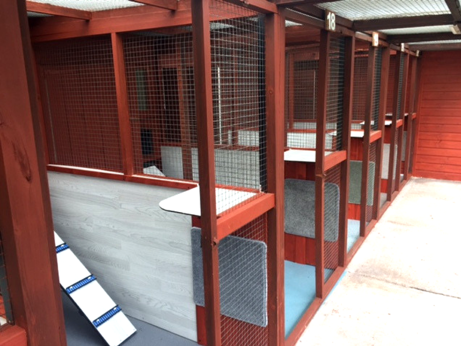 Cosy Cats Cattery Walsall