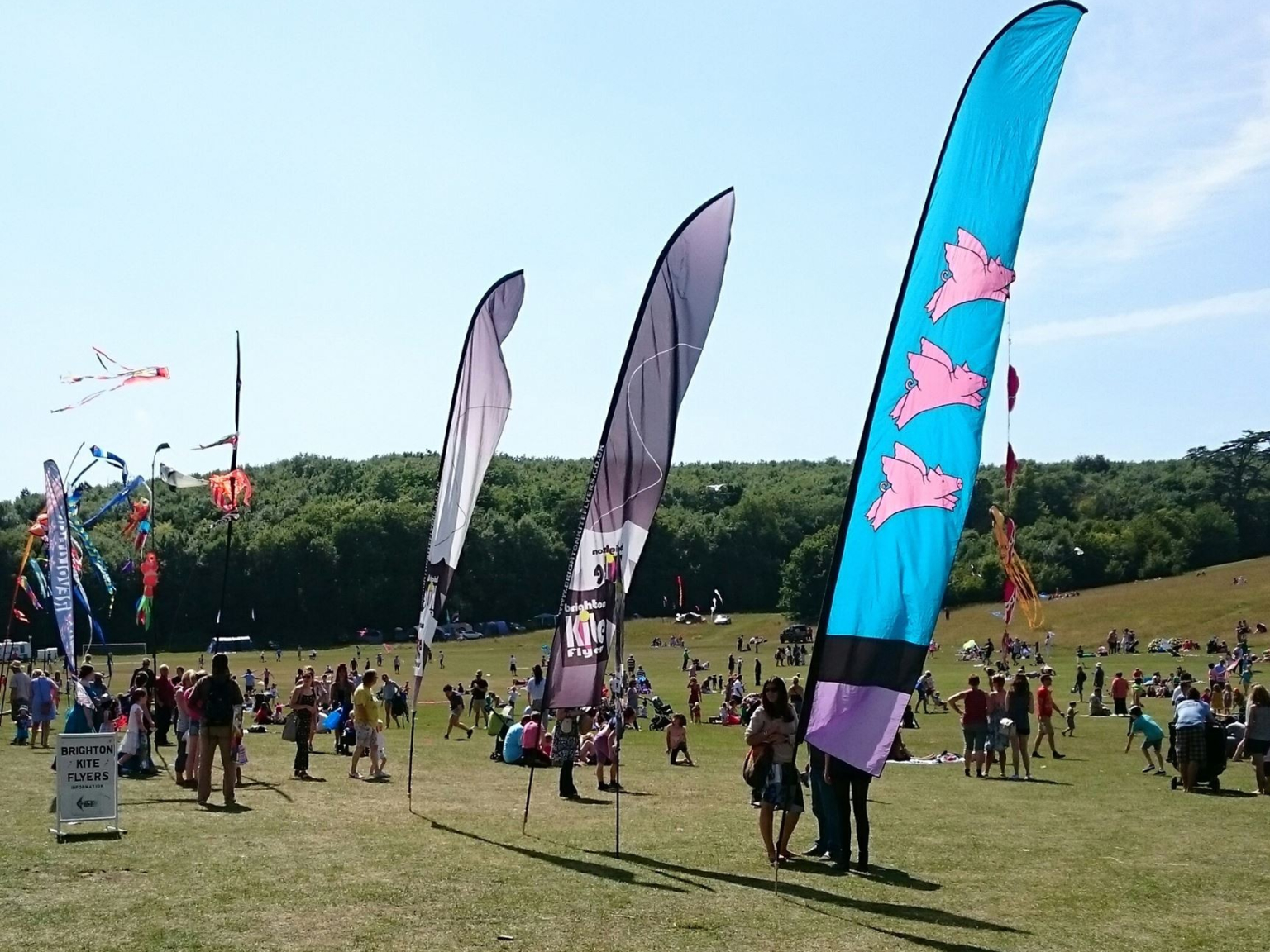 Brighton Kite Festival is 40 Years old this Year. See Amazing Kites at