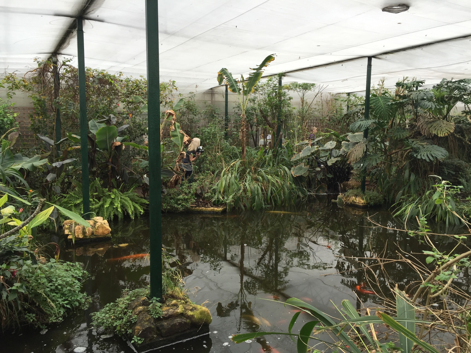 Stratford Butterfly Farm Stratford upon Avon