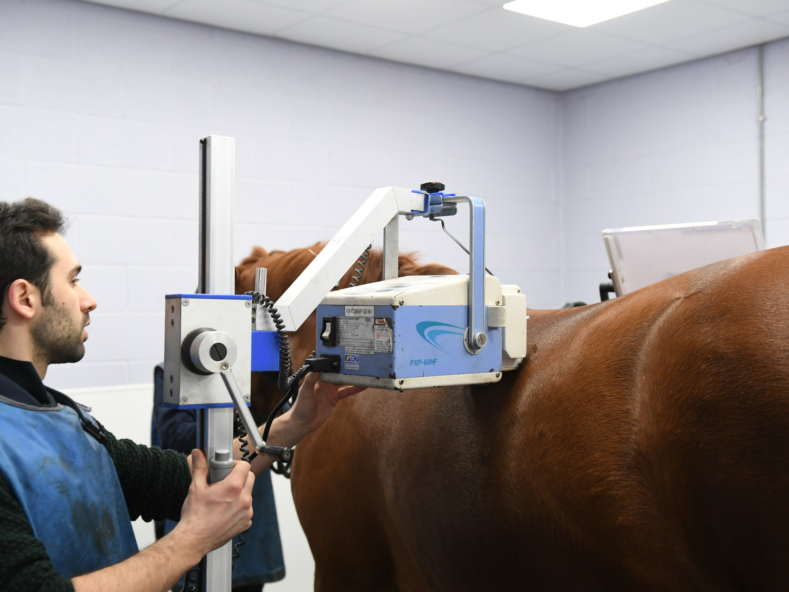 Pool House Equine Clinic Professional Horse Care in Lichfield