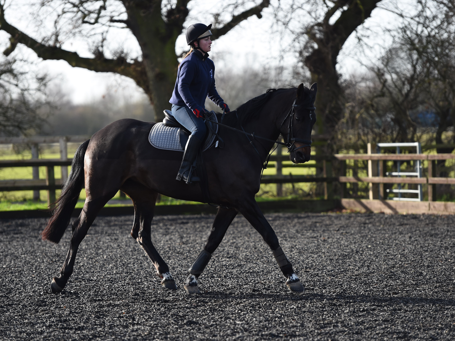Pool House Equine Clinic Professional Horse Care in Lichfield