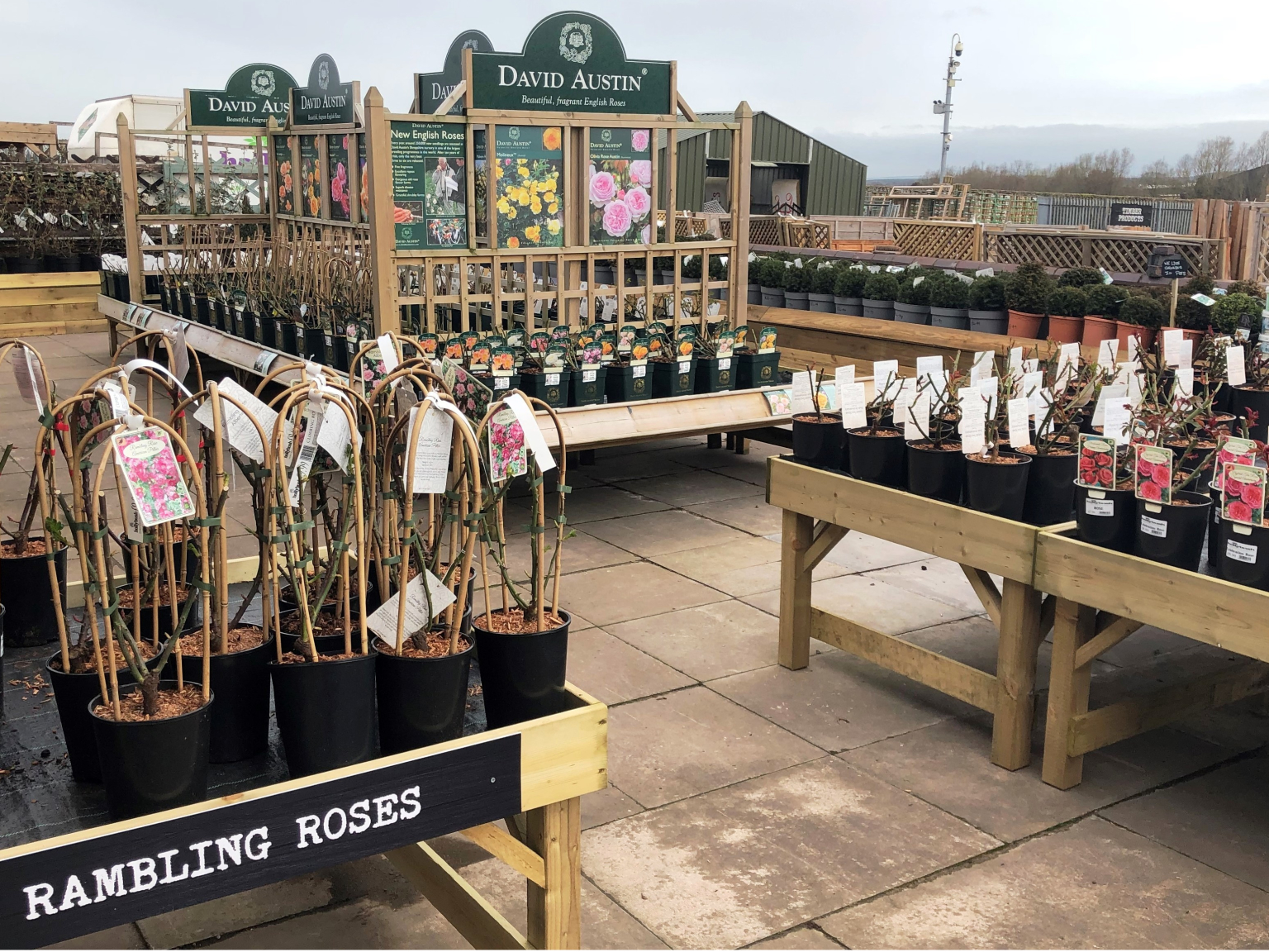 Hollybush Garden Centre Shrubs & Plant Nursery Cannock