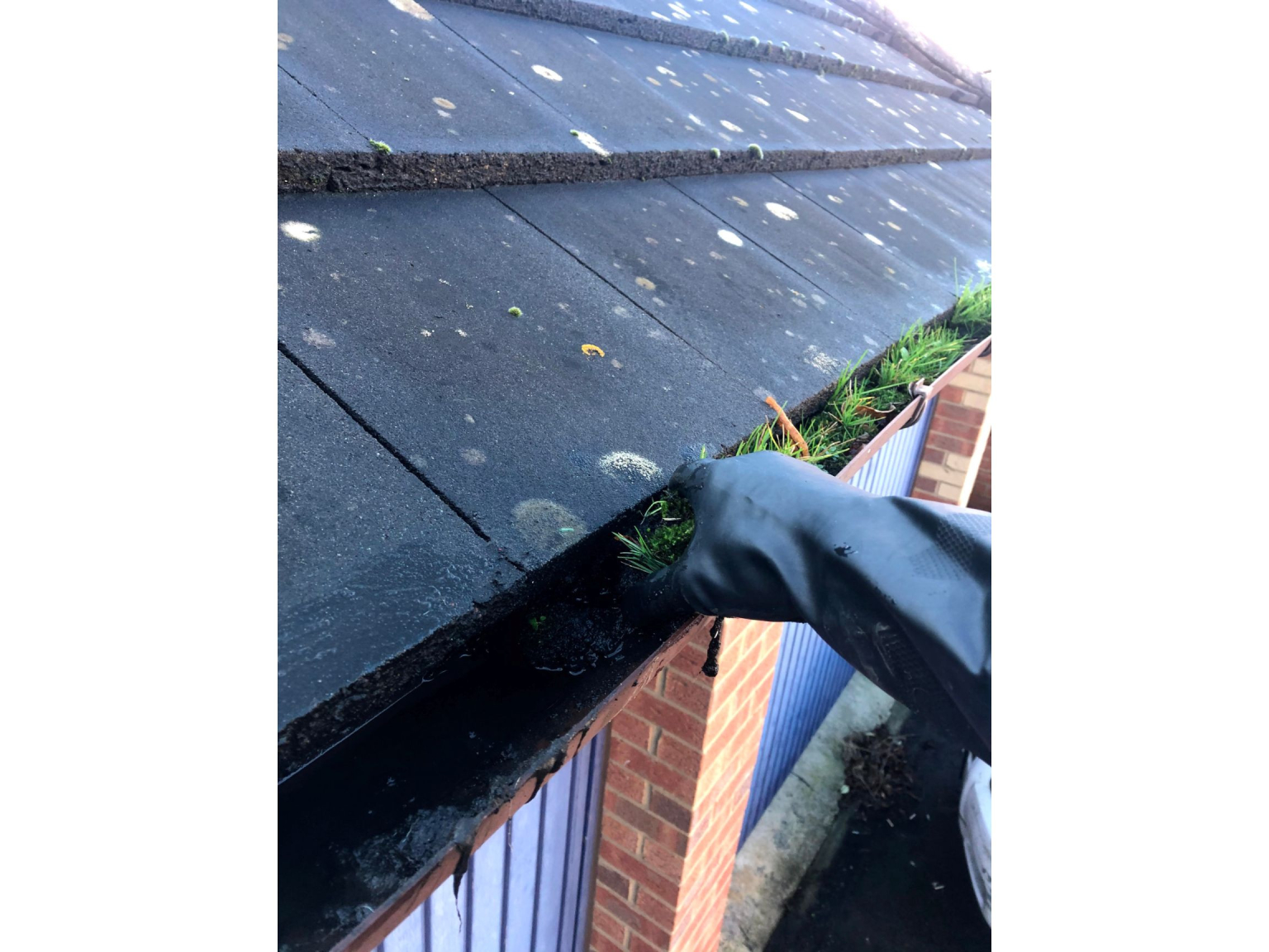 Java Cleaning Services Specialist Gutter, Fascia & Soffit Cleaning in