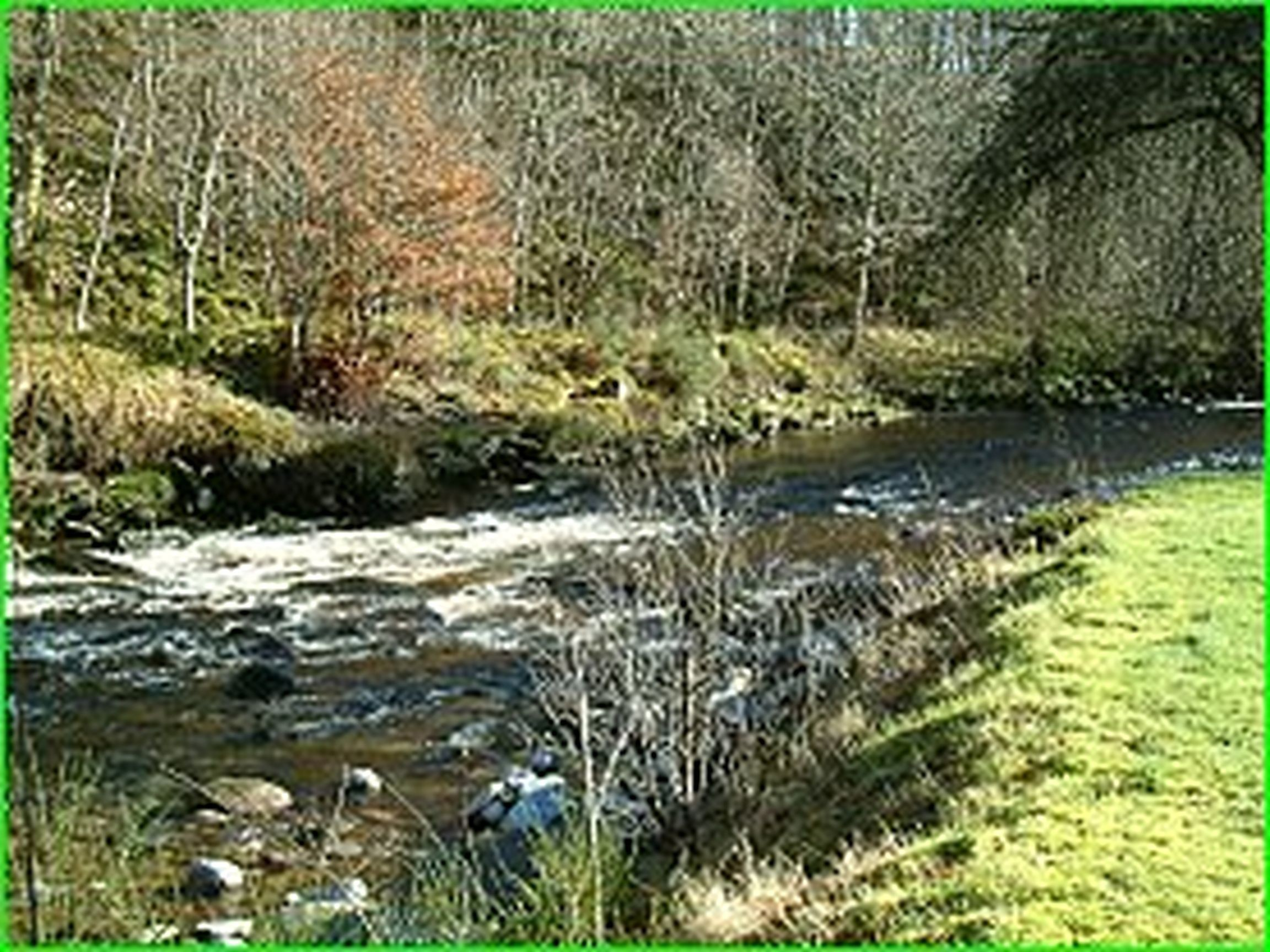 Black Rock Caravan Park - The Highlands