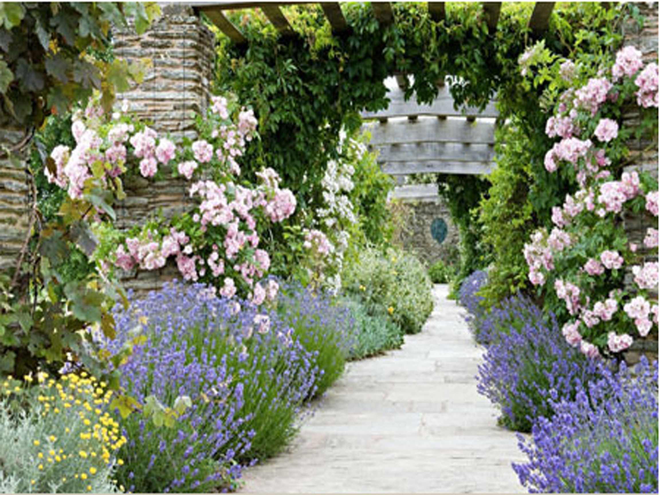 Gardens Taunton and Bridgwater