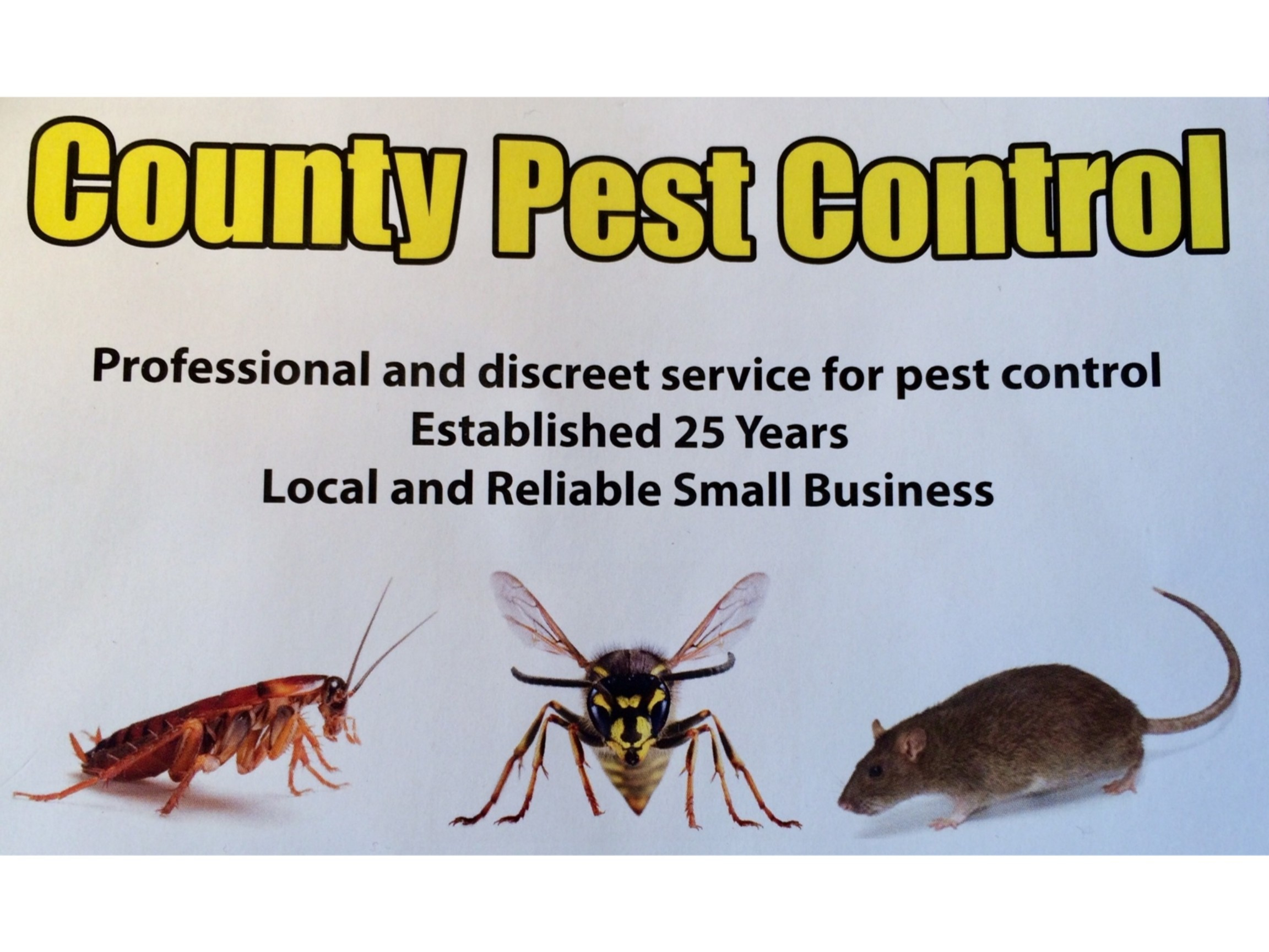 County Pest Control for Rodents, Birds and Insect Management Market Harborough