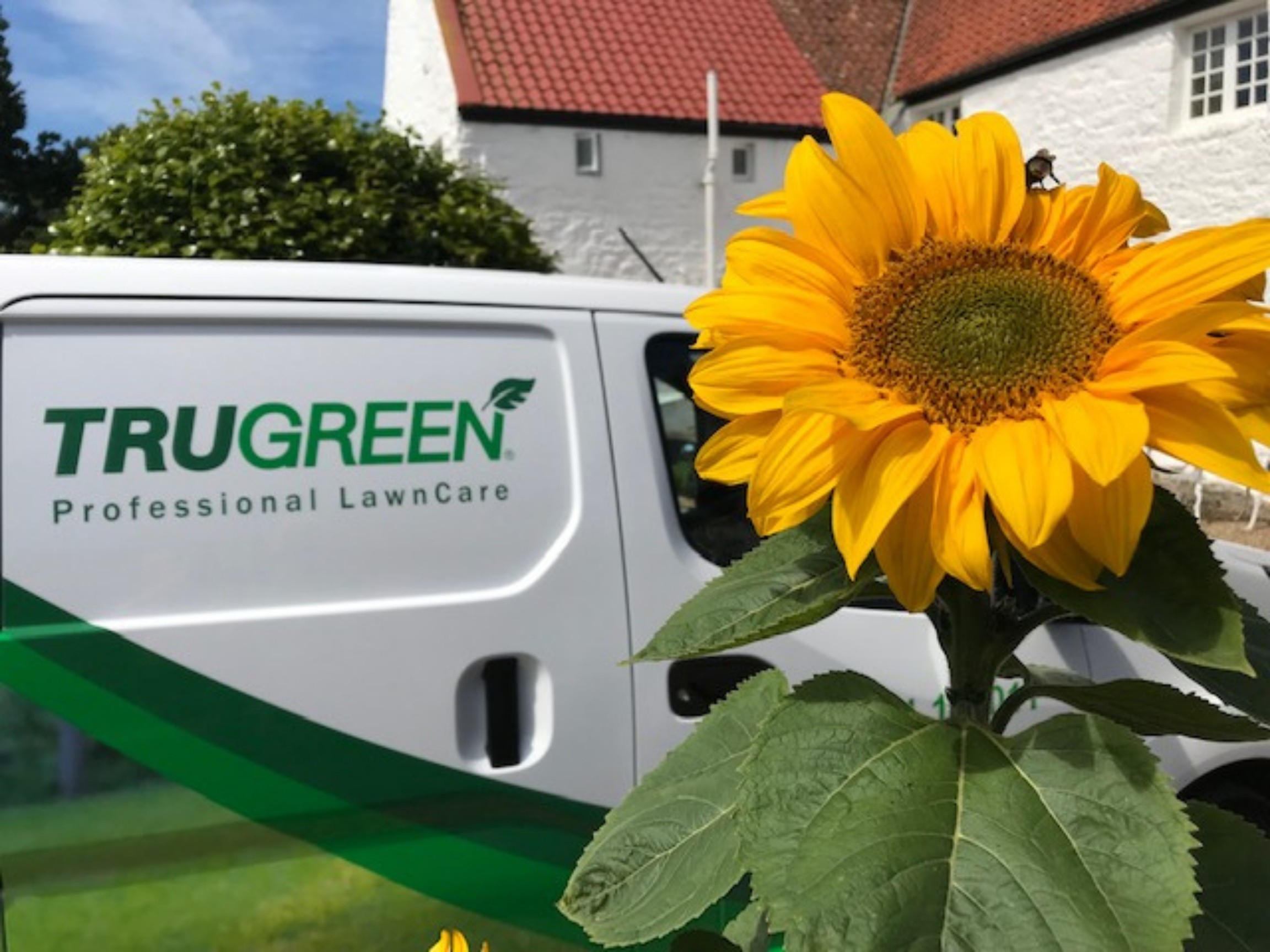 Trugreen.Com Login - ujws43n