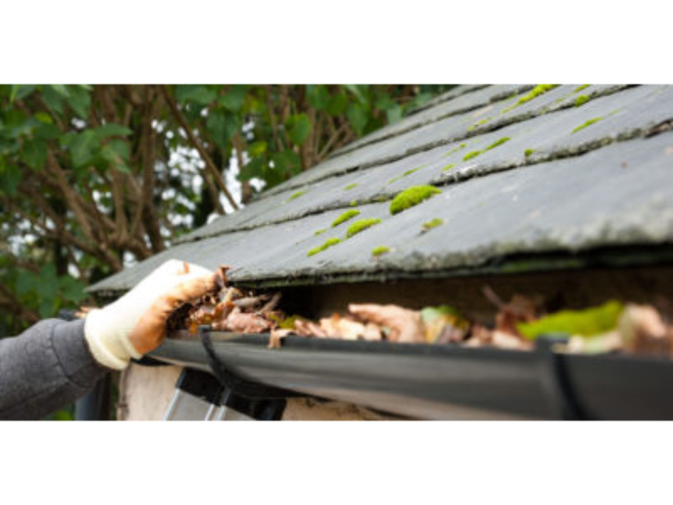Java Cleaning Services Specialist Gutter, Fascia & Soffit Cleaning in