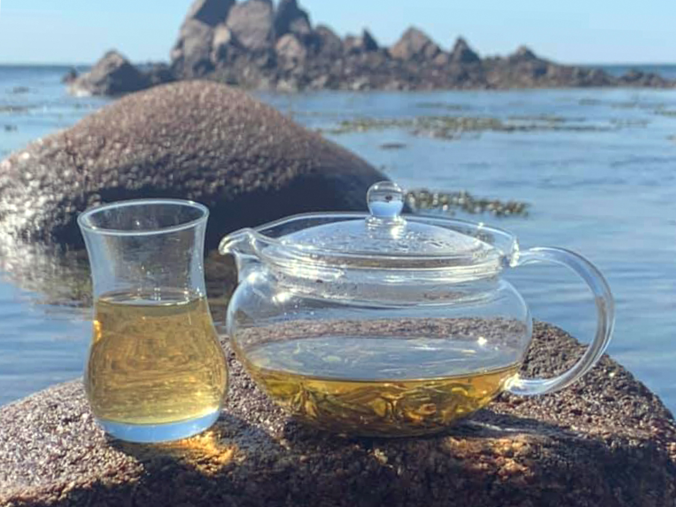 The Jersey Tea Company Jersey