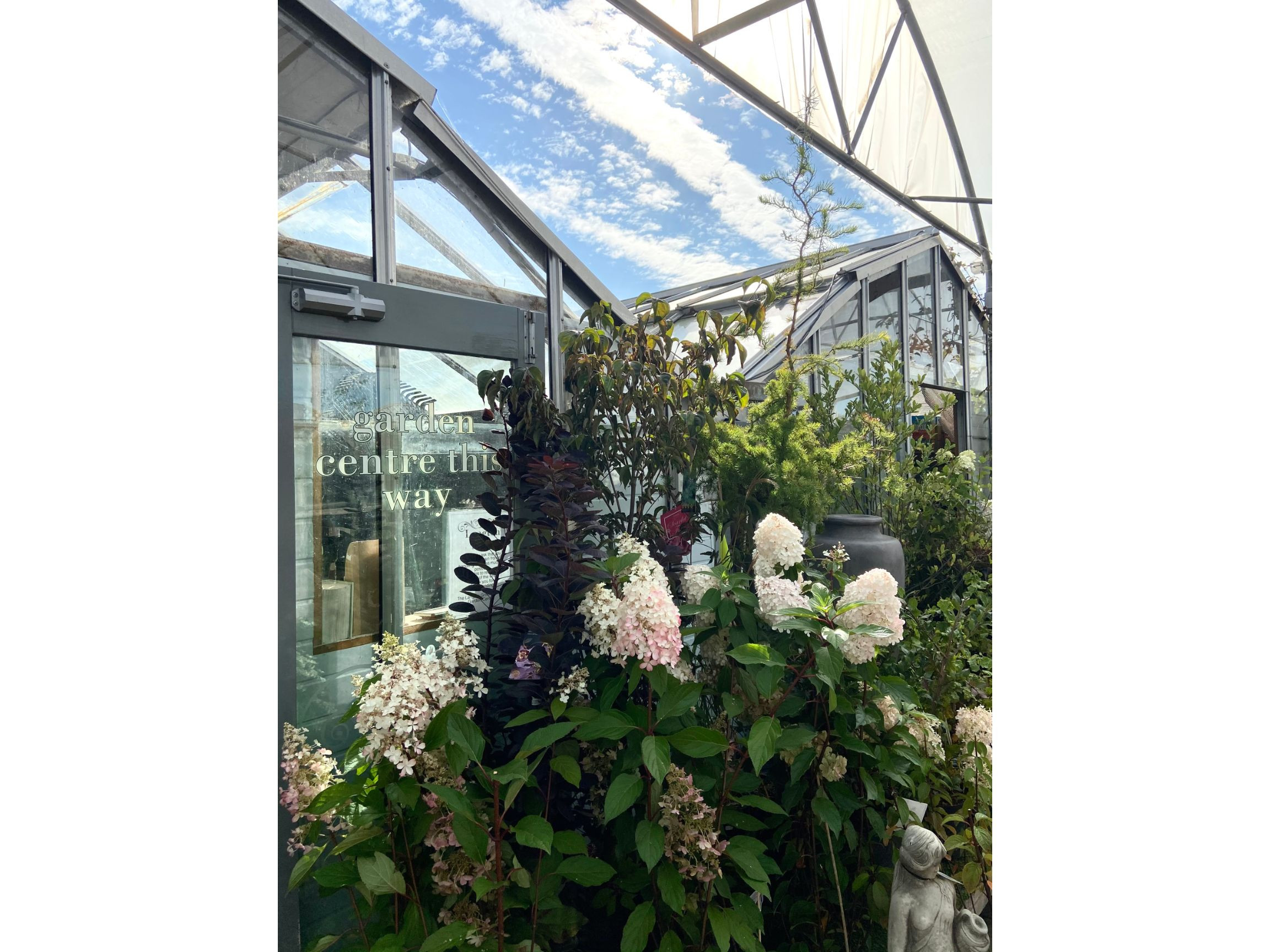 Langton Greenhouse and Garden Centre Market Harborough