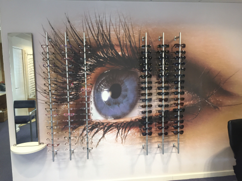 Animal Kingdom Eyesight Olympics Lititz Pa Jacobson Eyecare