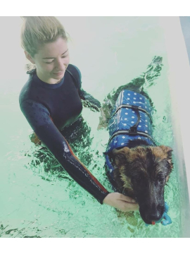 K9 Core Hydrotherapy & Rehabilitation Centre - Walsall