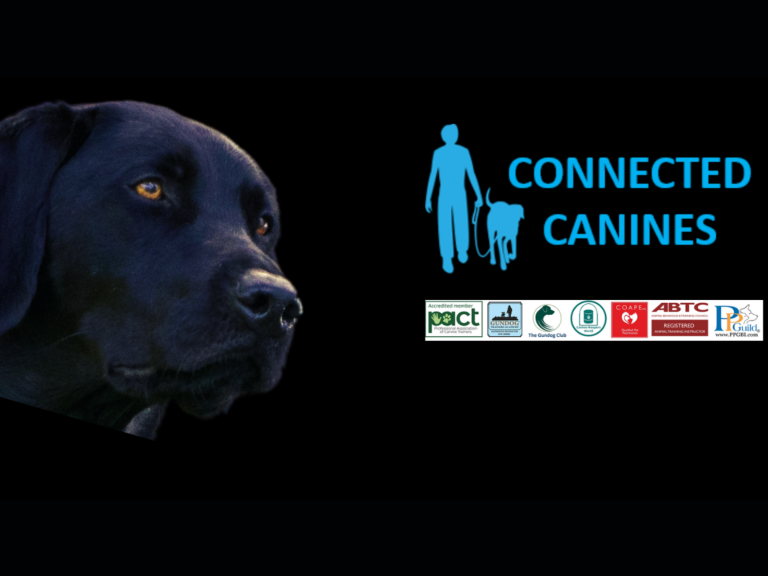 Connected Canines