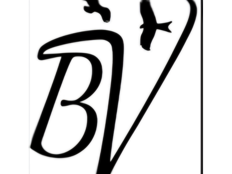 Buzzards Valley