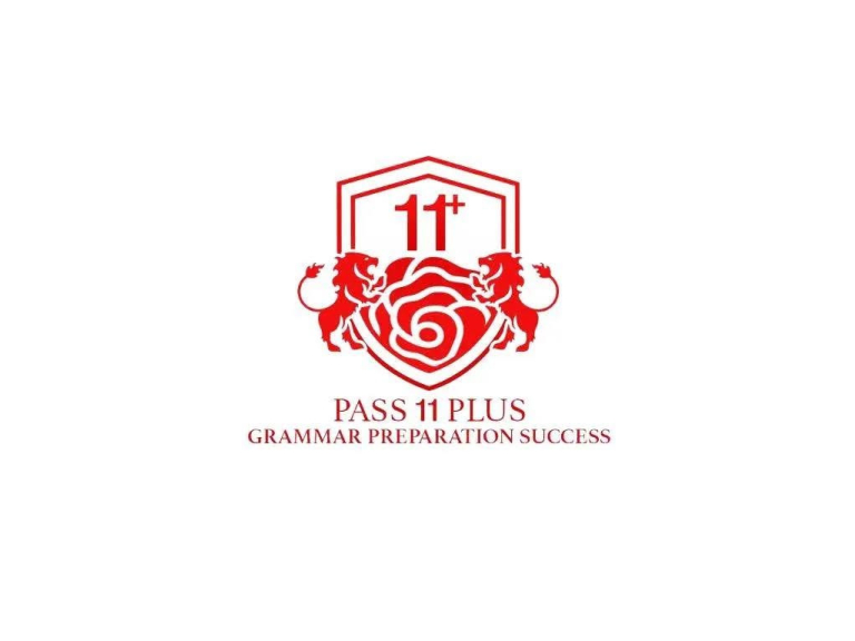Pass 11 Plus Grammar Preparation Success