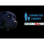 Connected Canines