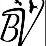 Buzzards Valley