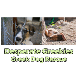 Desperate Greekies Greek Dog Rescue