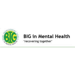 BIG in Mental Health