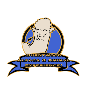 burntwood,alpaca,logo
