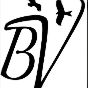 Buzzards Valley