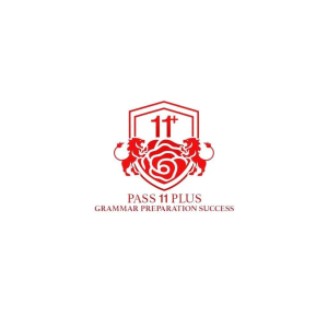 Pass 11 Plus Grammar Preparation Success