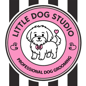 Little Dog Studio