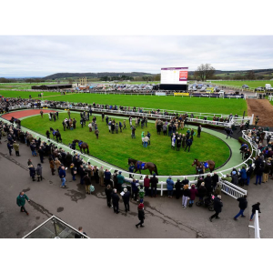 Taunton Racecourse