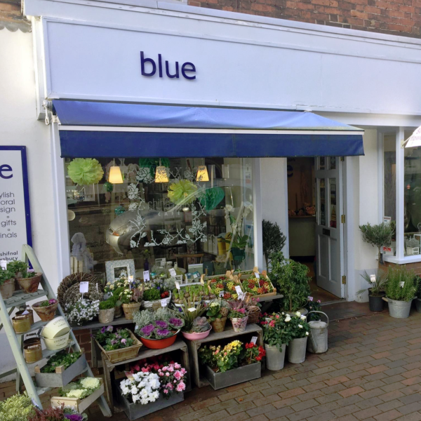 Blue Florists Telford and Wrekin