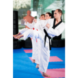 Bushido Martial Arts and Fitness Centre