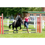 Malvern Branch of the Pony Club Riding