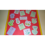St Fergus RC Primary School