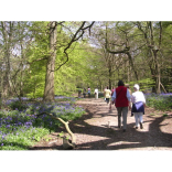 Epsom & Ewell Health Walks