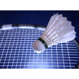 Windsor Phoenix Badminton Club