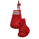 Haverhill Amateur Boxing Club