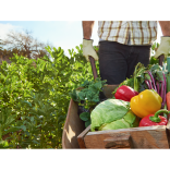 Chorlton and Friends Gardening Group