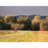 Alyn Waters Country Park