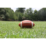 Birmingham Bulls American Football Team