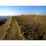Old Winchester Hill