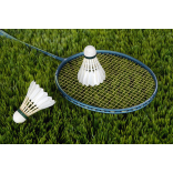 Hurst Centre Badminton Club