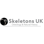 Skeletons UK