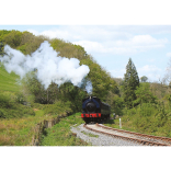 Gwili Steam Railway