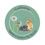 Eastbourne Rabbit & Guinea Pig Rescue