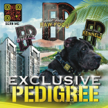 Exclusive Pedigree Raw Pet Food