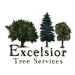 Excelsior Tree Services - Tree Surgeon St Neots