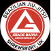 Alento Brazilian Jiu-Jitsu Shrewsbury